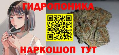 spice Чапаевск