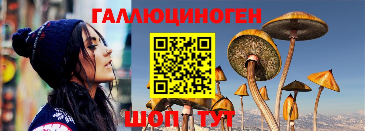 Псилоцибиновые грибы мухоморы Гагарин
